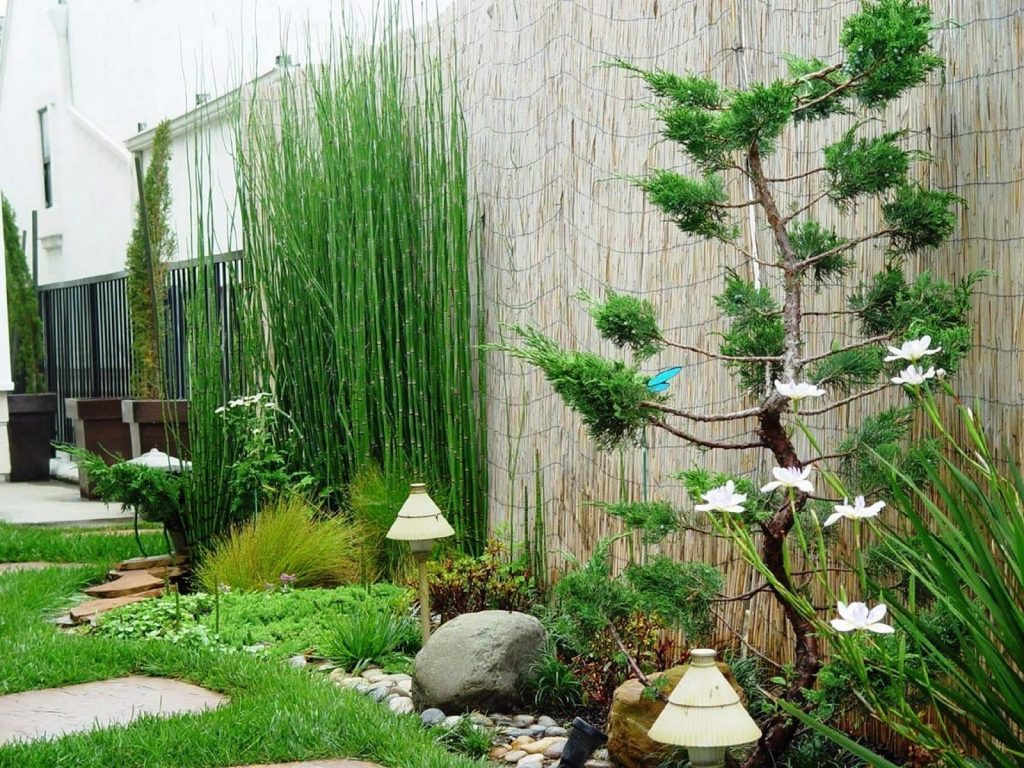 Cara Membuat Taman Minimalis Sendiri di Rumah