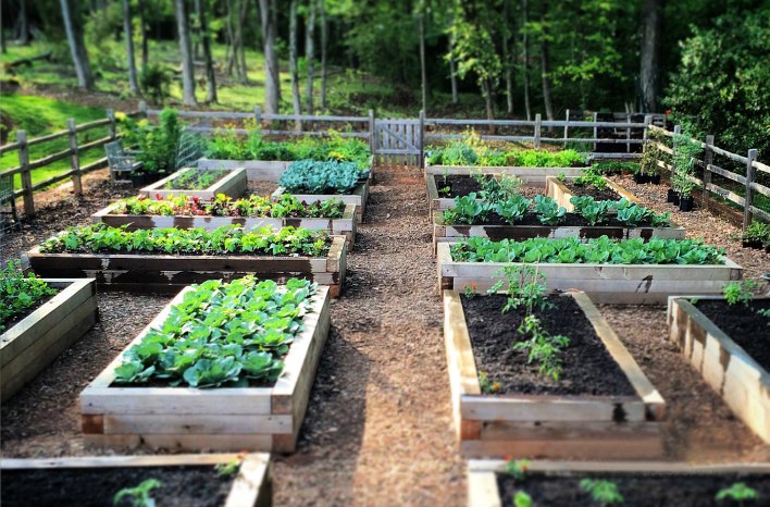 Raised Garden Bed