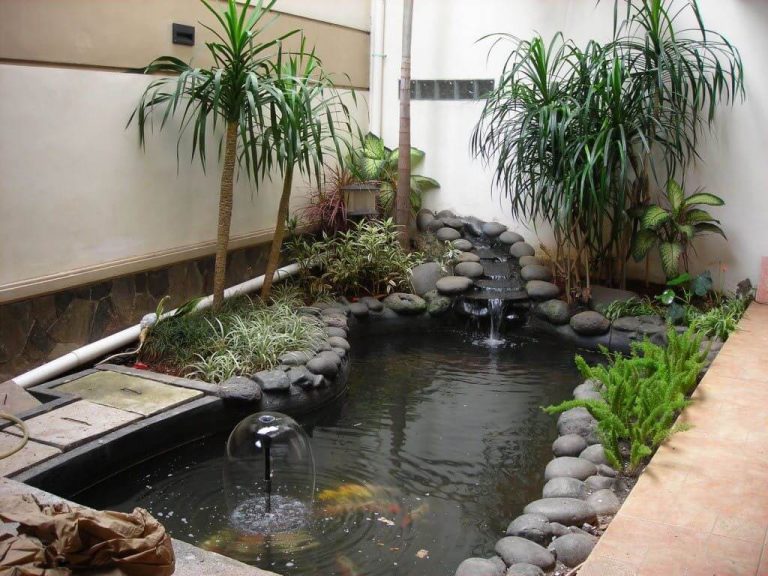Taman Minimalis dengan Kolam Air Tenang