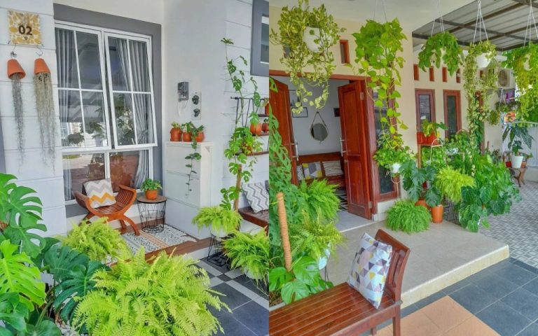 Tanaman yang Cocok untuk Teras Halaman