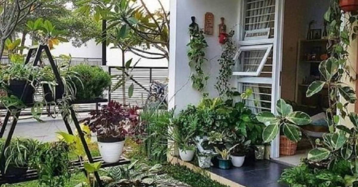 Perawatan Tanaman Hias di Taman Minimalis