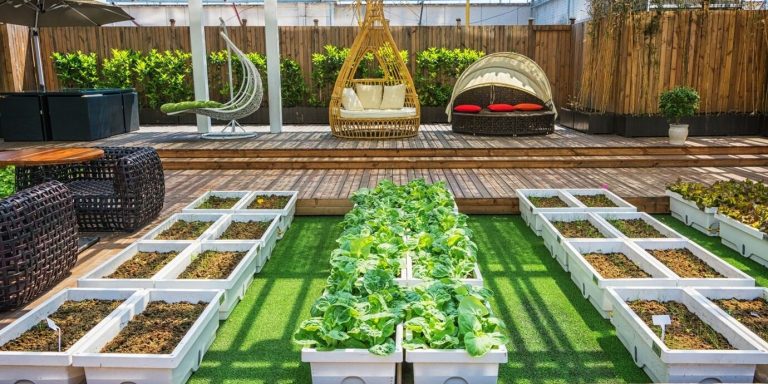 Tips Hemat Air untuk Taman Minimalis