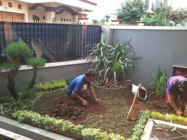 Cara Membuat Taman Minimalis Sendiri di Rumah